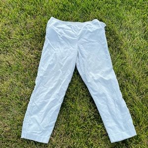 alfred dunner petite pants